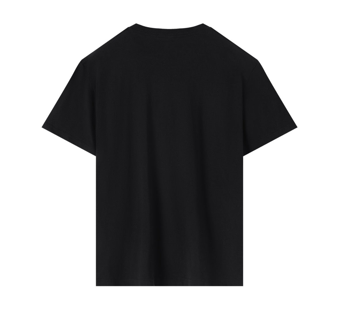 Guns and Jesus T shirt